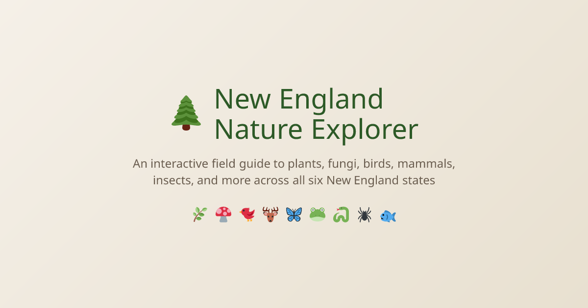NE Nature logo